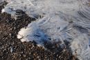 Ice-Feathers.jpg