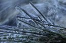 Ice-fingers-Ashop-Clough-Pe.jpg