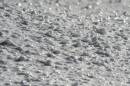 Ice_Crusted_Snow.jpg