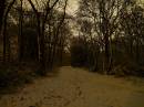 Image000035.jpg