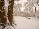 Image00014.jpg