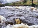In-Flood.jpg