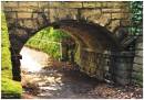 Into-the-Light-2-.jpg