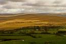 Isolated_Farmhouse_Dartmoor.jpg