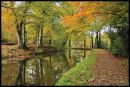 JLJ0858The_Autumn_Path_1024x768_.jpg