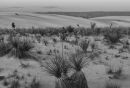 JRE6392_13X19_bw_Evening_at_White_Sands_web_1000.jpg