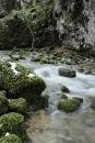 Janet_s-Foss-Yorkshire-Dale.jpg