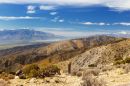Joshua_Tree_JRD3797.jpg
