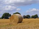 Just-Bales.jpg
