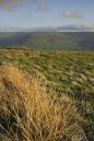 Kinder-Scout-from-Mam-Tor-w.jpg