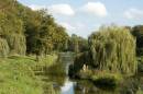 Lake-Waterscape.jpg