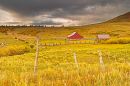 Last_Dollar_Rd-8591_2b_web.jpg