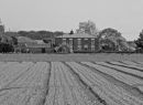 Lincolnshire-Farm_B_W_.jpg