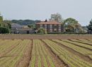 Lincolnshire-Farm_colour_.jpg