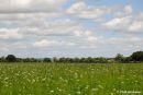 Linton_View_1.jpg