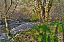 Llanerchaeron-HDR-1.jpg
