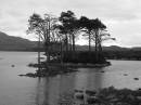Loch_Assynt.jpg