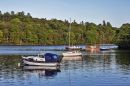 Loch_Lomond_nr_Luss.jpg