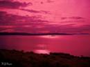 Loch_Maree.jpg