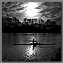 Lone_Rower.jpg