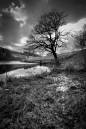 Looking-into-the-sun-Falkondale-lake.jpg