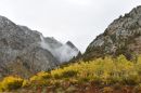 Low_Clouds_on_Sierra_Aspen_DSC_1084_web1000_sr72.jpg