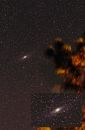 M311.jpg