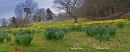 MG_0073-Edit.jpg