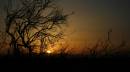 MG_0189.JPG