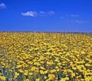 MG_1031_edited-2.jpg