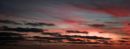 MG_1784.JPG