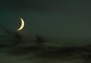 MG_1874_edited-1.jpg