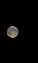 MG_1931_edited-2.jpg