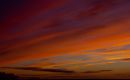 MG_2443_edited-1.jpg