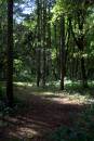 MG_2450.jpg