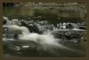 MG_3731water.jpg