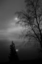 MISTY_MORNING_LAKE_WABIGOON_CANADA_-.jpeg