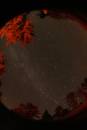MP-Nov-1_47_f2.jpg