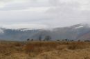 Malcolm_Wilson_Rally_2016_275_.jpg