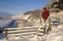 Matthew_on_snow_covered_stile.jpg
