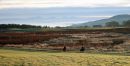 Middleham-High-Moor.jpg