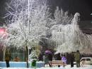 Midnight_in_Winter2.jpg