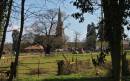 Mistley_Place_Park_2.jpg