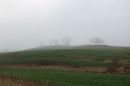 Misty-Morning.jpg