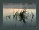 Misty_Morning.jpg