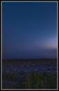 Misty_Morning_edited-1.jpg