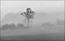 Misty_Morning_on_the_Wolds.jpg