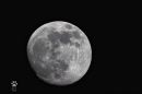 MoonOfMay1st-S.jpg