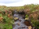 Moorland_Stream.jpg