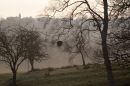 Morning_Mist_a.jpg